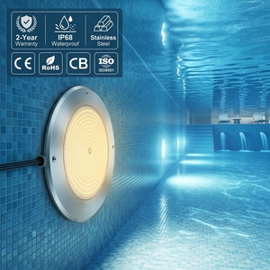 316 Stainless Steel Resin Filled Pool Light